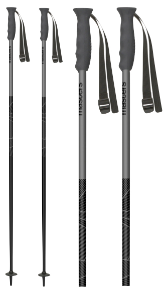 Masters Piste Skistokken Black/Antraciet – Alle maten 110-135cm – Nu €24,99